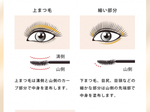 まつ毛を上向きに固定する ジェルタイプのコーティング美容液!