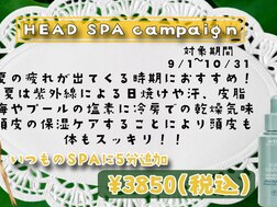 実はこんな効果が！？